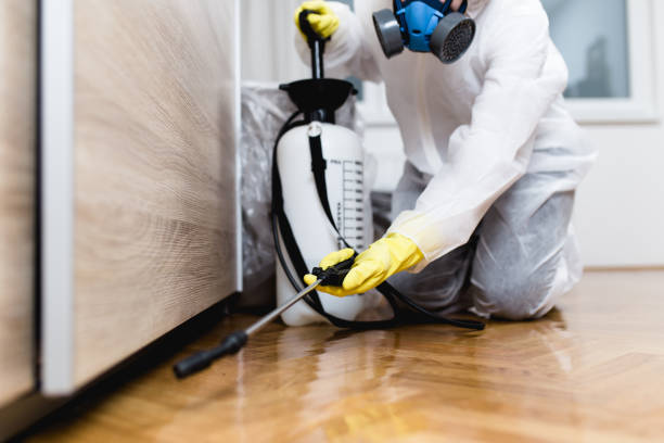 Best Cockroach Control Services  in Elkins, WV