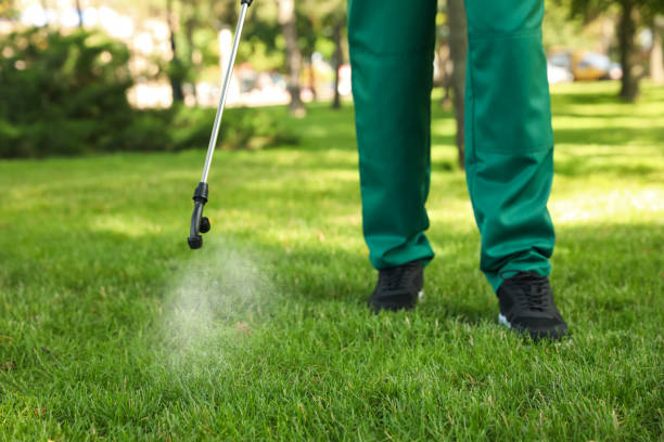 Best Commercial Pest Control Services  in Elkins, WV