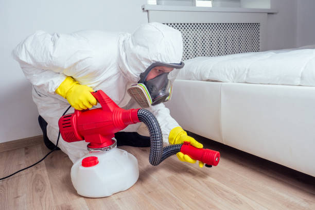 Best Wasp Removal Services  in Elkins, WV