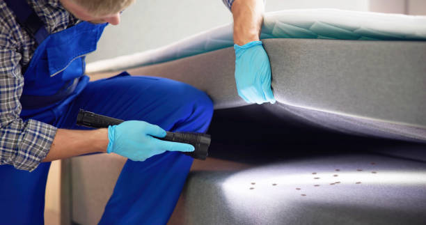 Best Pest Control Near Me  in Elkins, WV